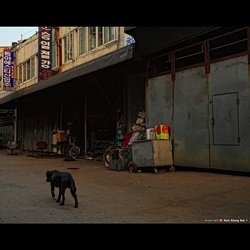 dailyPhoto39