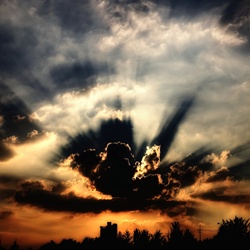 dailyPhoto15