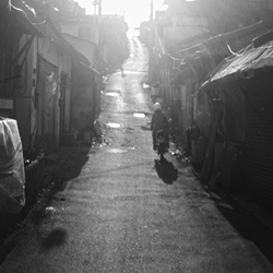 dailyPhoto5