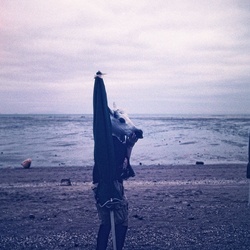 dailyPhoto8