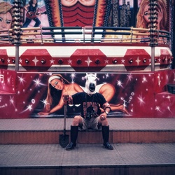 dailyPhoto3