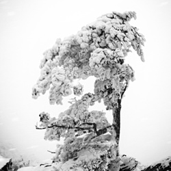 dailyPhoto20