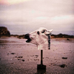 dailyPhoto1