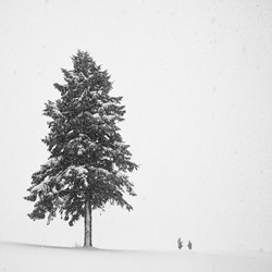 dailyPhoto20