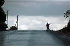 dailyPhoto5