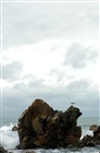 dailyPhoto13