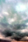 dailyPhoto24