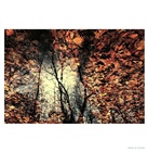dailyPhoto9