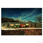 dailyPhoto39
