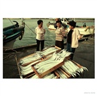dailyPhoto8