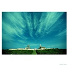 dailyPhoto10