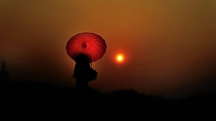gallery_image
