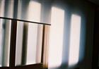 dailyPhoto29