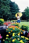 dailyPhoto4