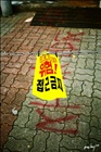 dailyPhoto10