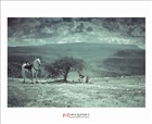 dailyPhoto9