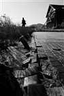 dailyPhoto9