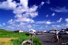 dailyPhoto4