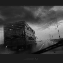 dailyPhoto30