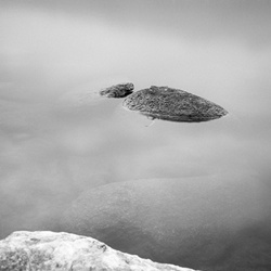dailyPhoto22