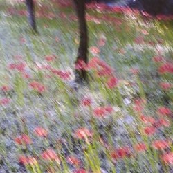 dailyPhoto28