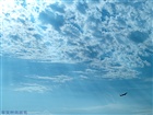 dailyPhoto30