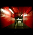 dailyPhoto33