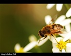 dailyPhoto12