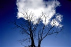 dailyPhoto4