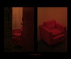 dailyPhoto9