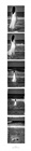 dailyPhoto9
