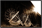 dailyPhoto9