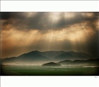 dailyPhoto40