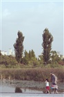 dailyPhoto36