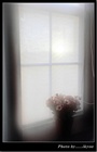 dailyPhoto22