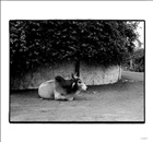 dailyPhoto5
