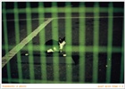 dailyPhoto40