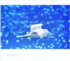 dailyPhoto9