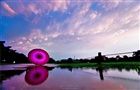 dailyPhoto4