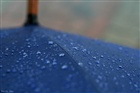 dailyPhoto12