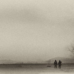 dailyPhoto6