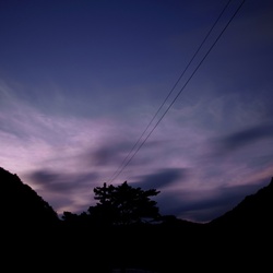 dailyPhoto2