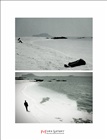 dailyPhoto12