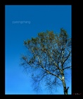 dailyPhoto26
