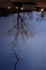 dailyPhoto14