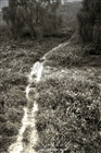 dailyPhoto21