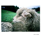 dailyPhoto9