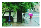 dailyPhoto1