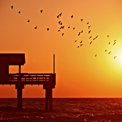 dailyPhoto26