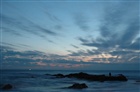 dailyPhoto40